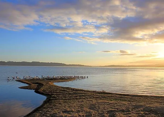 모텔 Jack & Di's Waiteti Lakefront 4*